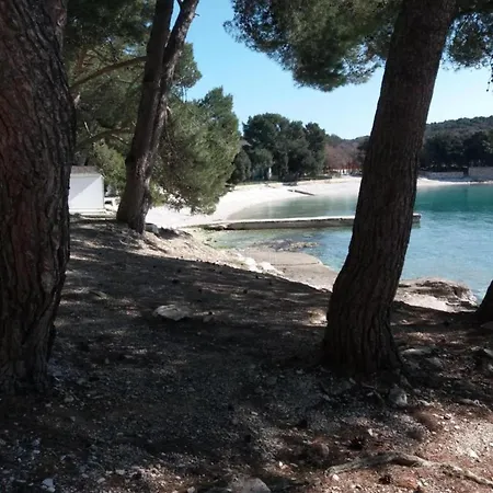 Garden View In Near And Boat Excursions * Banjole